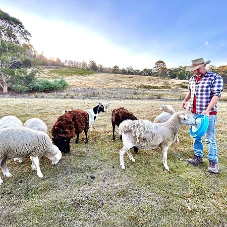 Hamlet Downs Country Accommodation Fentonbury Экстерьер фото