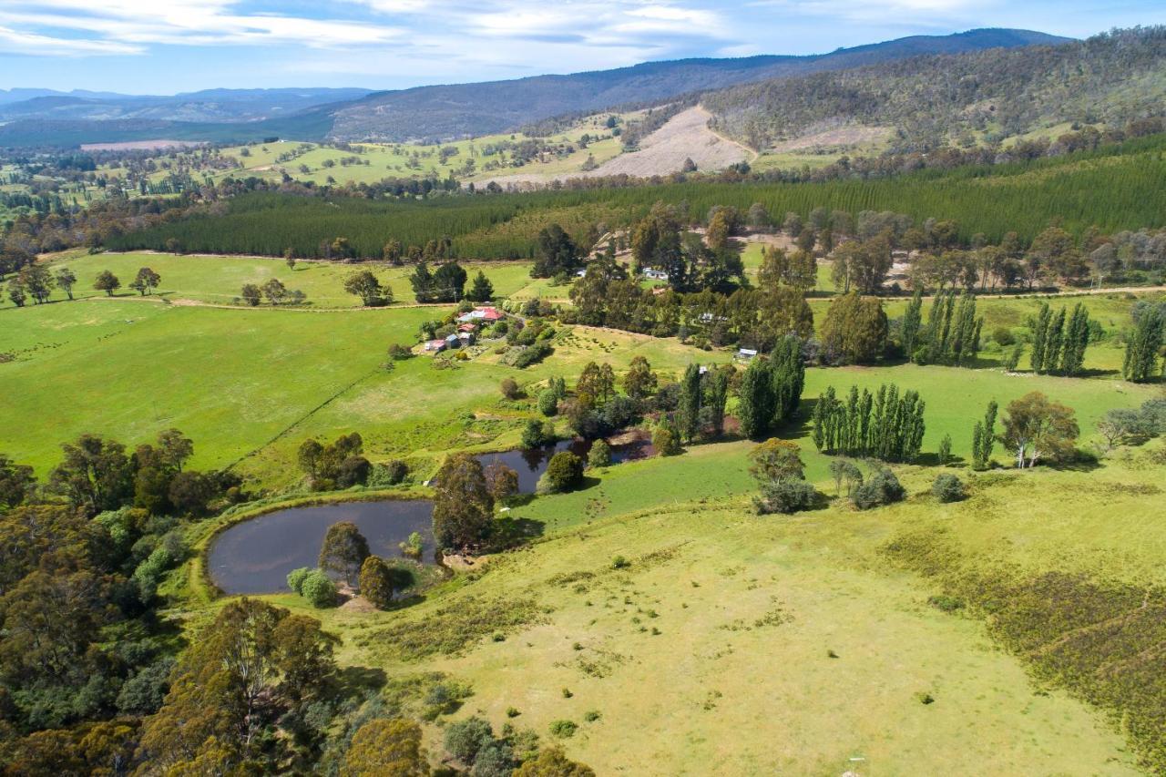 Hamlet Downs Country Accommodation Fentonbury Экстерьер фото