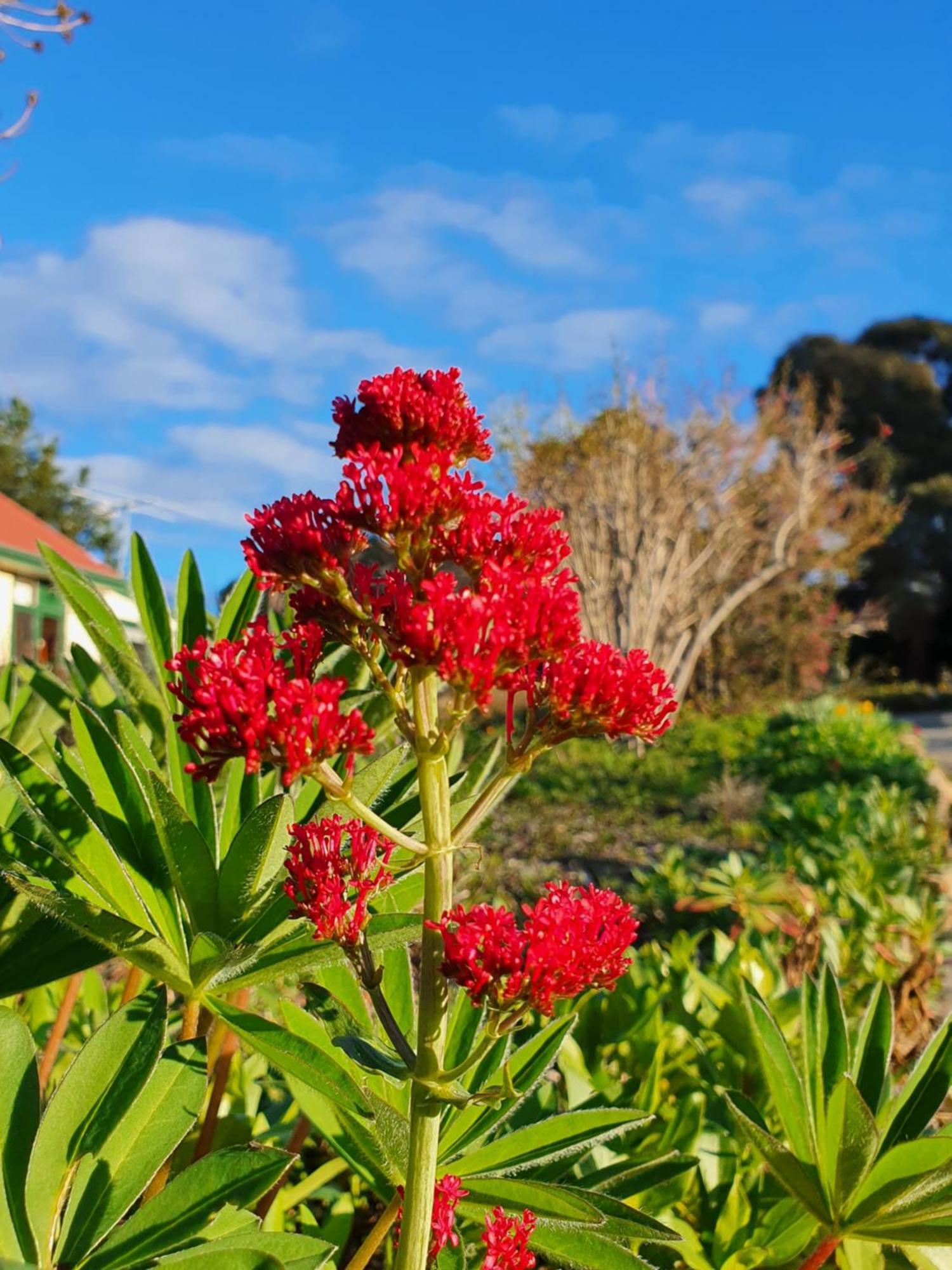 Hamlet Downs Country Accommodation Fentonbury Экстерьер фото