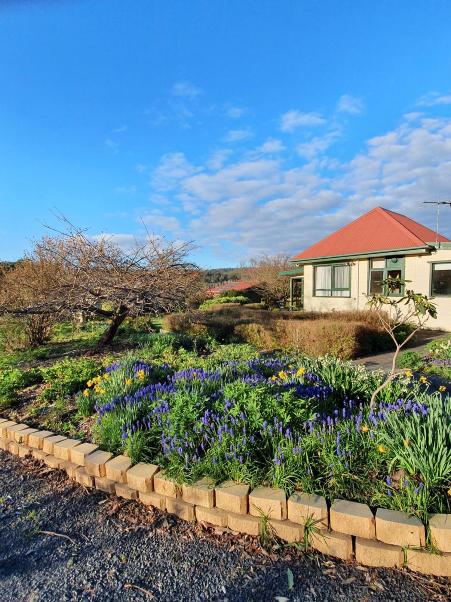 Hamlet Downs Country Accommodation Fentonbury Экстерьер фото